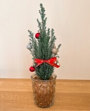 みなとみらいPRセンターのプレスリリース画像1