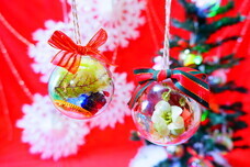 みなとみらいPRセンターのプレスリリース画像4