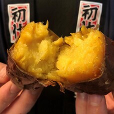 みなとみらいPRセンターのプレスリリース画像12