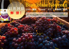 みなとみらいPRセンターのプレスリリース画像1