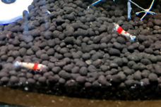 みなとみらいPRセンターのプレスリリース画像5