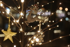 みなとみらいPRセンターのプレスリリース画像1