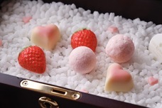 みなとみらいPRセンターのプレスリリース画像3