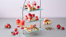 みなとみらいPRセンターのプレスリリース画像5