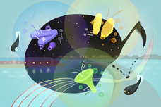 みなとみらいPRセンターのプレスリリース画像7