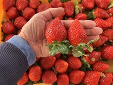 みなとみらいPRセンターのプレスリリース画像4