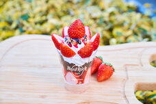 みなとみらいPRセンターのプレスリリース画像3