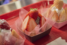 みなとみらいPRセンターのプレスリリース画像2