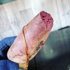 みなとみらいPRセンターのプレスリリース画像7