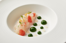 みなとみらいPRセンターのプレスリリース画像1