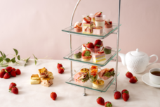 みなとみらいPRセンターのプレスリリース画像3