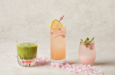 みなとみらいPRセンターのプレスリリース画像1