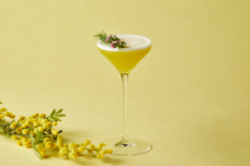 みなとみらいPRセンターのプレスリリース画像4