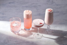 みなとみらいPRセンターのプレスリリース画像1