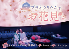 みなとみらいPRセンターのプレスリリース画像6