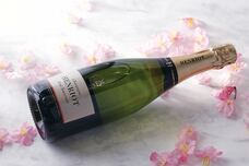 みなとみらいPRセンターのプレスリリース画像1