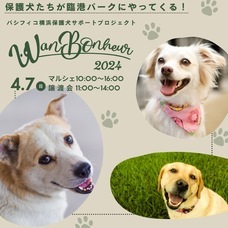 みなとみらいPRセンターのプレスリリース画像8