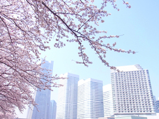 みなとみらいPRセンターのプレスリリース画像3