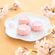 みなとみらいPRセンターのプレスリリース画像4