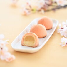 みなとみらいPRセンターのプレスリリース画像2