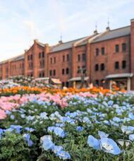 みなとみらいPRセンターのプレスリリース画像3