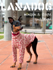 みなとみらいPRセンターのプレスリリース画像1