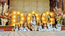 みなとみらいPRセンターのプレスリリース画像11