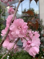 みなとみらいPRセンターのプレスリリース画像1