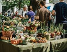 みなとみらいPRセンターのプレスリリース画像2