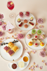 みなとみらいPRセンターのプレスリリース画像1