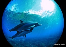 みなとみらいPRセンターのプレスリリース画像2