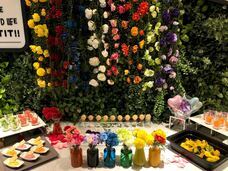 みなとみらいPRセンターのプレスリリース画像8