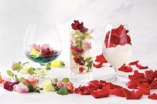 みなとみらいPRセンターのプレスリリース画像3