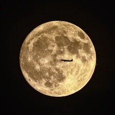 みなとみらいPRセンターのプレスリリース画像3