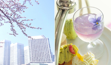 みなとみらいPRセンターのプレスリリース画像1