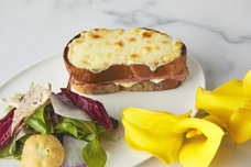 みなとみらいPRセンターのプレスリリース画像2