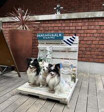 みなとみらいPRセンターのプレスリリース画像2