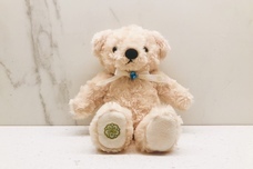 みなとみらいPRセンターのプレスリリース画像1