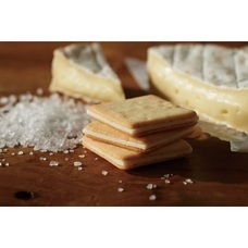 みなとみらいPRセンターのプレスリリース画像3