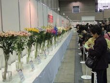 みなとみらいPRセンターのプレスリリース画像8