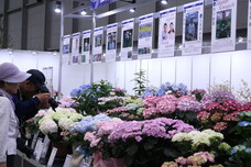 みなとみらいPRセンターのプレスリリース画像10