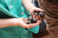 みなとみらいPRセンターのプレスリリース画像5