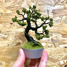 みなとみらいPRセンターのプレスリリース画像13