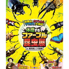 みなとみらいPRセンターのプレスリリース画像1