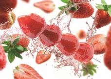 みなとみらいPRセンターのプレスリリース画像11