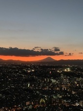 みなとみらいPRセンターのプレスリリース画像14