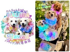 みなとみらいPRセンターのプレスリリース画像1