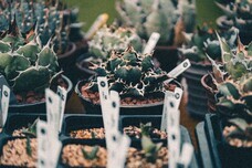 みなとみらいPRセンターのプレスリリース画像11