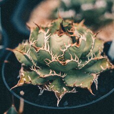 みなとみらいPRセンターのプレスリリース画像20