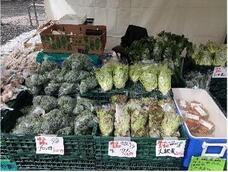 みなとみらいPRセンターのプレスリリース画像3